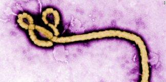 CARPHA says Regional Ebola Virus Disease Simulation Exercise ‘Hummingbird’ a Success