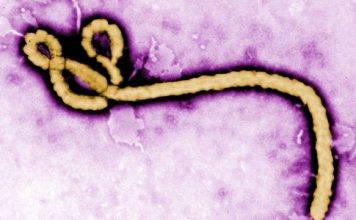 CARPHA says Regional Ebola Virus Disease Simulation Exercise ‘Hummingbird’ a Success