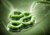 Ministry of Public Health prepares for Regional Ebola Disease Simulation Exercise