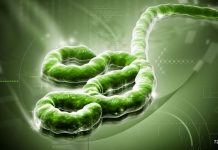 Ministry of Public Health prepares for Regional Ebola Disease Simulation Exercise