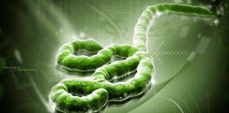 Ministry of Public Health prepares for Regional Ebola Disease Simulation Exercise