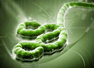 Ministry of Public Health prepares for Regional Ebola Disease Simulation Exercise