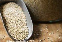 Remember Safe Holiday Meals