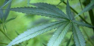 Nearly 3,000 pounds of cocaine seized in Caribbean Sea