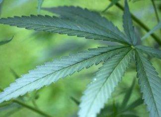 Nearly 3,000 pounds of cocaine seized in Caribbean Sea