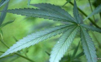 Nearly 3,000 pounds of cocaine seized in Caribbean Sea