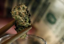 MP Irion seeks study on the economic impact of medical marijuana