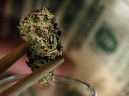 MP Irion seeks study on the economic impact of medical marijuana