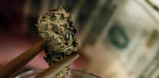 MP Irion seeks study on the economic impact of medical marijuana