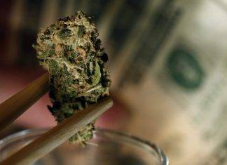 Seventeen year old arrested for cannabis possession