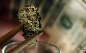 MP Irion seeks study on the economic impact of medical marijuana