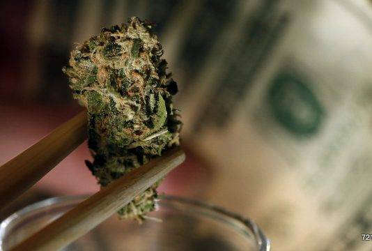 Seventeen year old arrested for cannabis possession