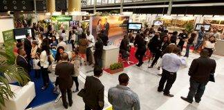 FRED focusing on bridging the gap between Dutch Caribbean professionals and local employers.