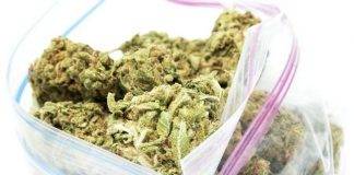 Student arrested at school with marijuana