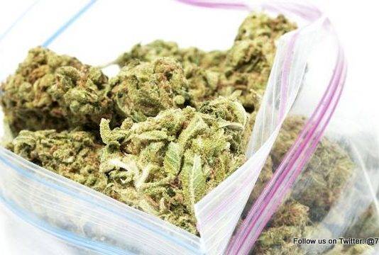 Inspectorate VSA is working on draft policy for medical marijuana