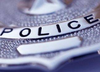 Two men arrested for carjacking