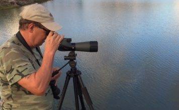 Crowds Fly to New Activities at 2015 Migratory Bird Festival