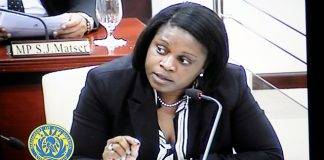 MP Marlin-Romeo: Request made for urgent public meeting of parliament about Pearl of China project