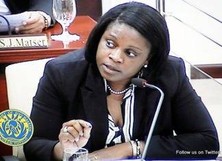 MP Marlin-Romeo: Request made for urgent public meeting of parliament about Pearl of China project