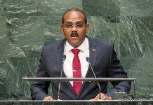 Antigua PM to Summon LIAT CEO Over Proposal for Barbados to Quit LIAT