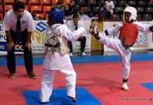 Pantophlet wins Grand Champion, Tae kwon do team earn 14 gold