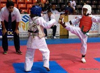 Pantophlet wins Grand Champion, Tae kwon do team earn 14 gold