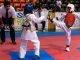 Pantophlet wins Grand Champion, Tae kwon do team earn 14 gold