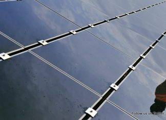 France decrees new rooftops must be covered in plants or solar panels