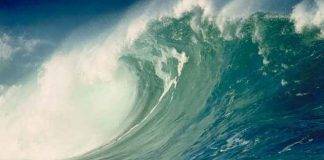 Sint Maarten Disaster Management Organization partaking in Caribe Wave Tsunami Exercise