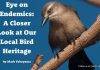 Free Bird eBook Released for Endemic Animal Festival