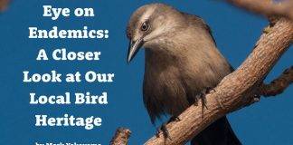 Free Bird eBook Released for Endemic Animal Festival