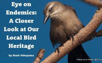 Free Bird eBook Released for Endemic Animal Festival