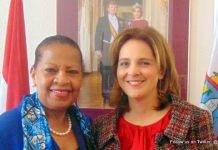 Minister Plenipotentiary Fleming-Artsen discusses with Special Envoy to the UN about a Kingdom candidate for the 15-Member UN Security Council