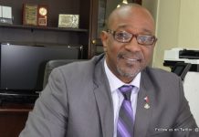 Tapping into the American Chinese Market more Sustainable and Realistic