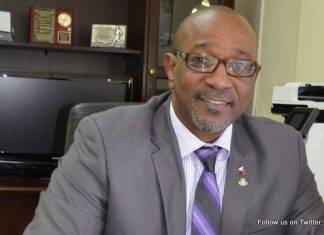 Tapping into the American Chinese Market more Sustainable and Realistic