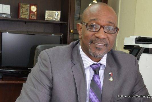 Tapping into the American Chinese Market more Sustainable and Realistic