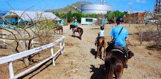 Celebrate Local Wildlife at this Saturday's Endemic Animal Festival!