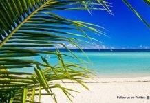 SER to be featured on TV Program