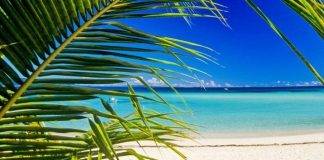 SER to be featured on TV Program