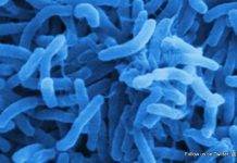 PAHO issues update on Cholera in the Americas. CPS advises travellers to Haiti and Dominican Republic to take preventative measures