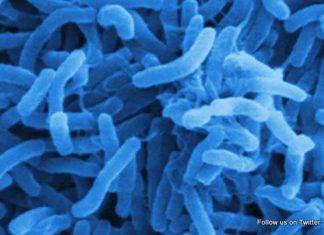 PAHO issues update on Cholera in the Americas. CPS advises travellers to Haiti and Dominican Republic to take preventative measures