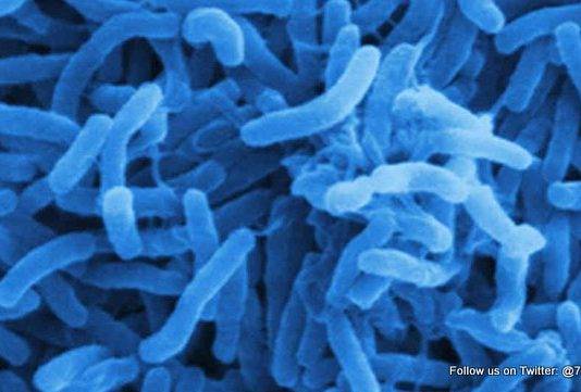 PAHO issues update on Cholera in the Americas. CPS advises travellers to Haiti and Dominican Republic to take preventative measures