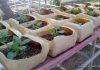 Spaceless Gardens, Tzu Chi team up for 'Eco Tourism Agricultural Learning'