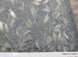 The Nature Foundation carried out its bi-annual water quality tests