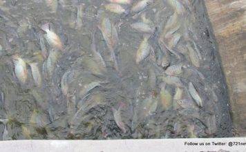 The Nature Foundation carried out its bi-annual water quality tests