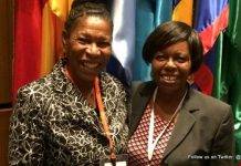 Countries Launch Negotiations on a Regional Instrument on Rights Related to Access in Environmental Matters