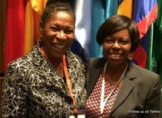 Countries Launch Negotiations on a Regional Instrument on Rights Related to Access in Environmental Matters