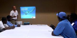 Nature Foundation Gives Presentations to Divi Little Bay as Part Of Sea Turtle Nesting Season Awareness for Hotels and Beach Concession Operators