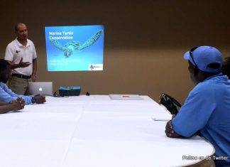 Nature Foundation Gives Presentations to Divi Little Bay as Part Of Sea Turtle Nesting Season Awareness for Hotels and Beach Concession Operators