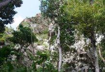 MP Lake sets the record straight and presents the facts about Emilio Wilson Estate Purchase Process and Charlotte Brookson Academy